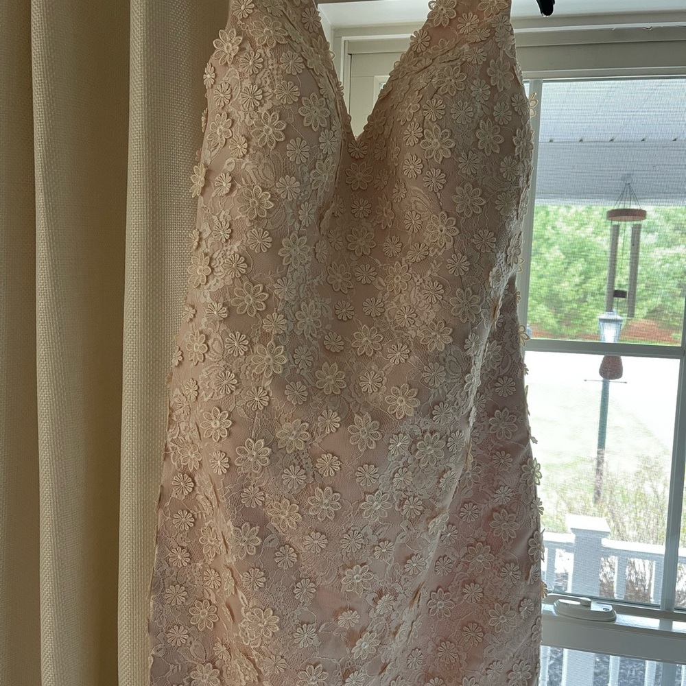 Floral Appliqué V-Neck Dress in Blush